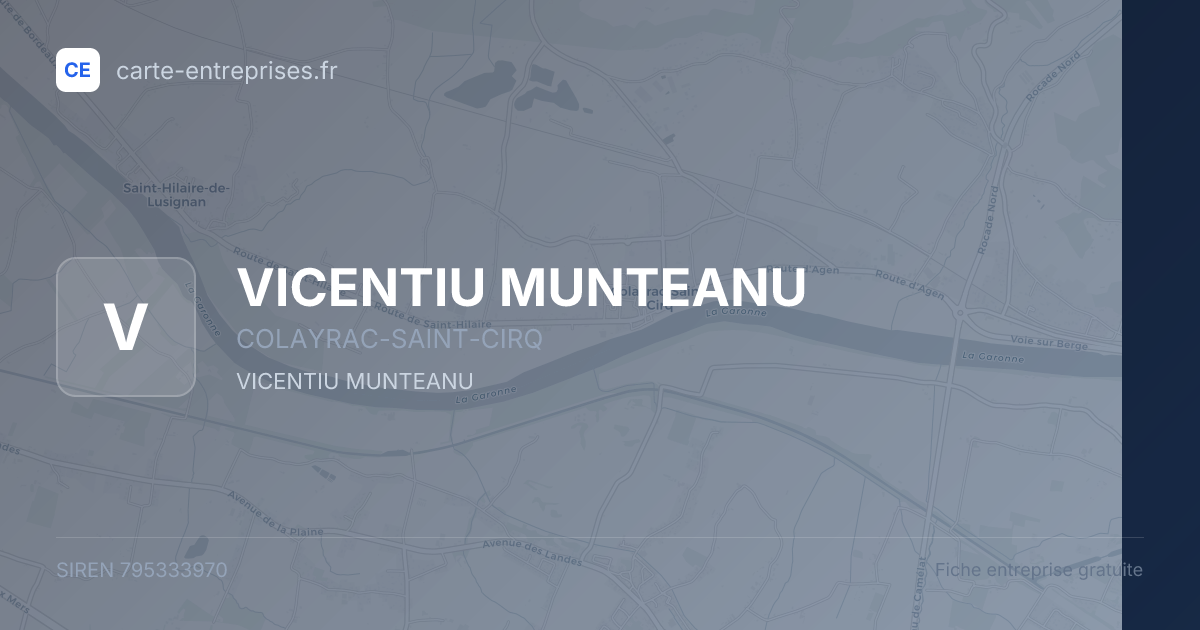 VICENTIU MUNTEANU — 795333970 — fiche entreprise