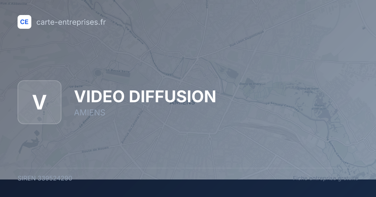 VIDEO DIFFUSION — 339524290 — fiche entreprise