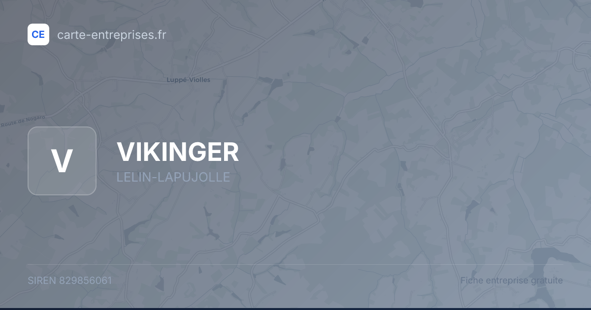 VIKINGER — 829856061 — fiche entreprise