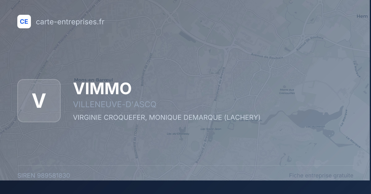 VIMMO — 989581830 — fiche entreprise