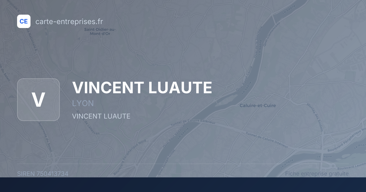 VINCENT LUAUTE — 750413734 — fiche entreprise