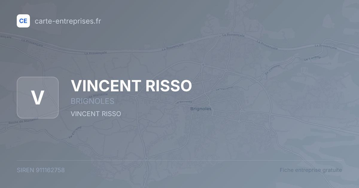 VINCENT RISSO — 911162758 — fiche entreprise