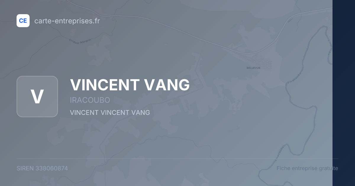 VINCENT VANG — 338060874 — fiche entreprise