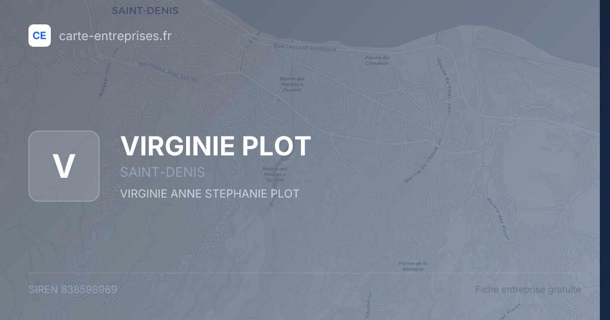 VIRGINIE PLOT — 838598969 — fiche entreprise