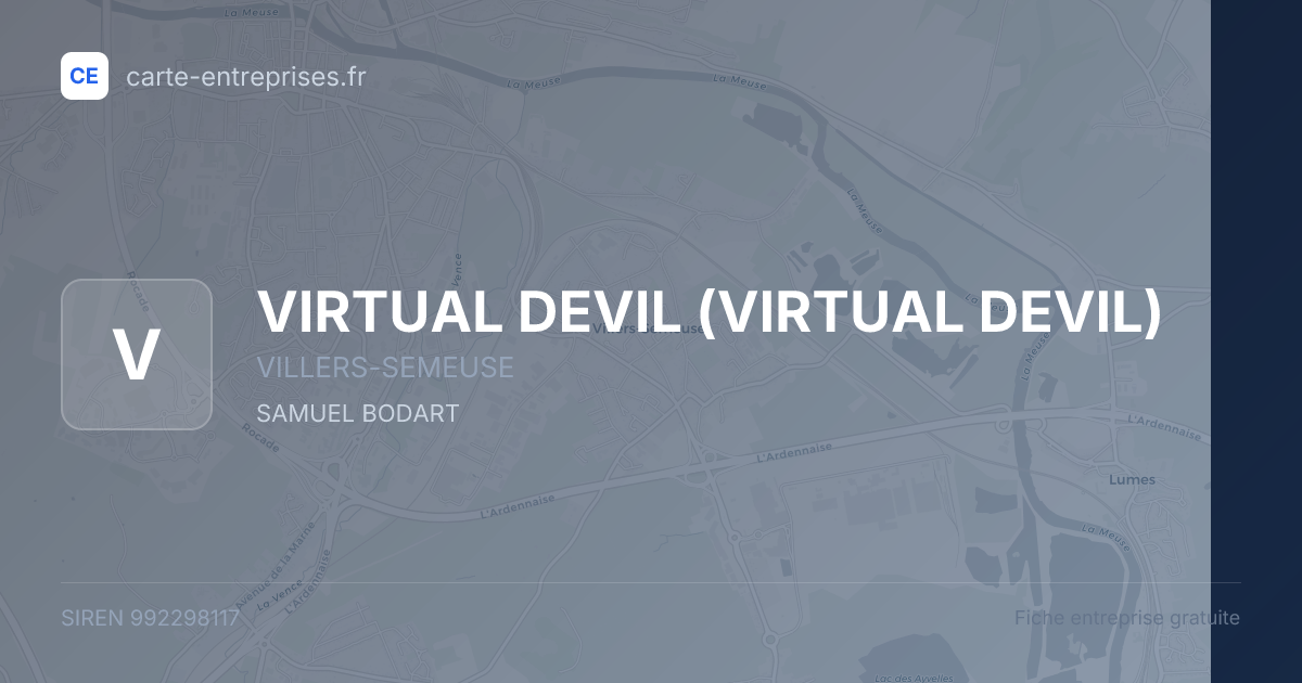 VIRTUAL DEVIL — 992298117 — fiche entreprise