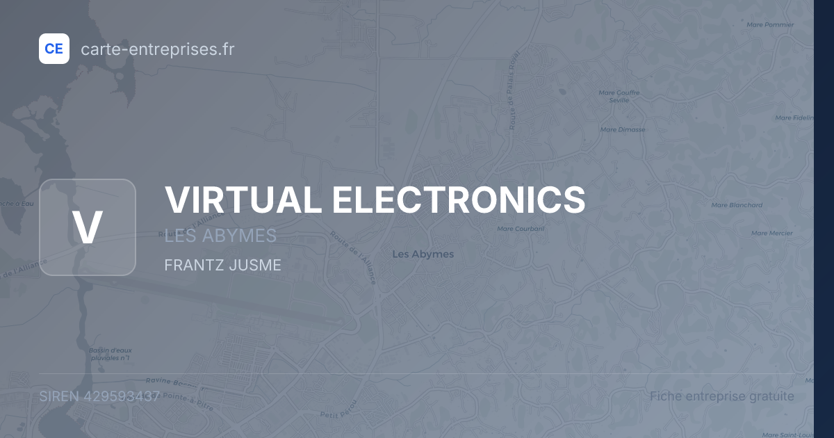 VIRTUAL ELECTRONICS — 429593437 — fiche entreprise