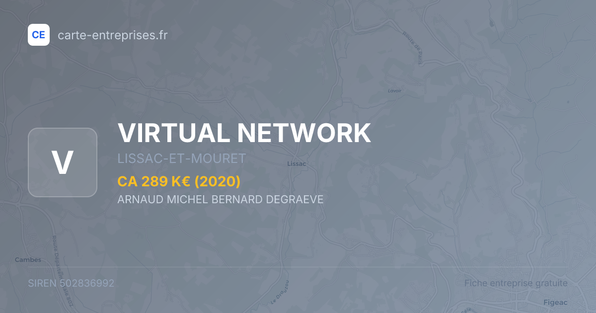 VIRTUAL NETWORK — 502836992 — fiche entreprise