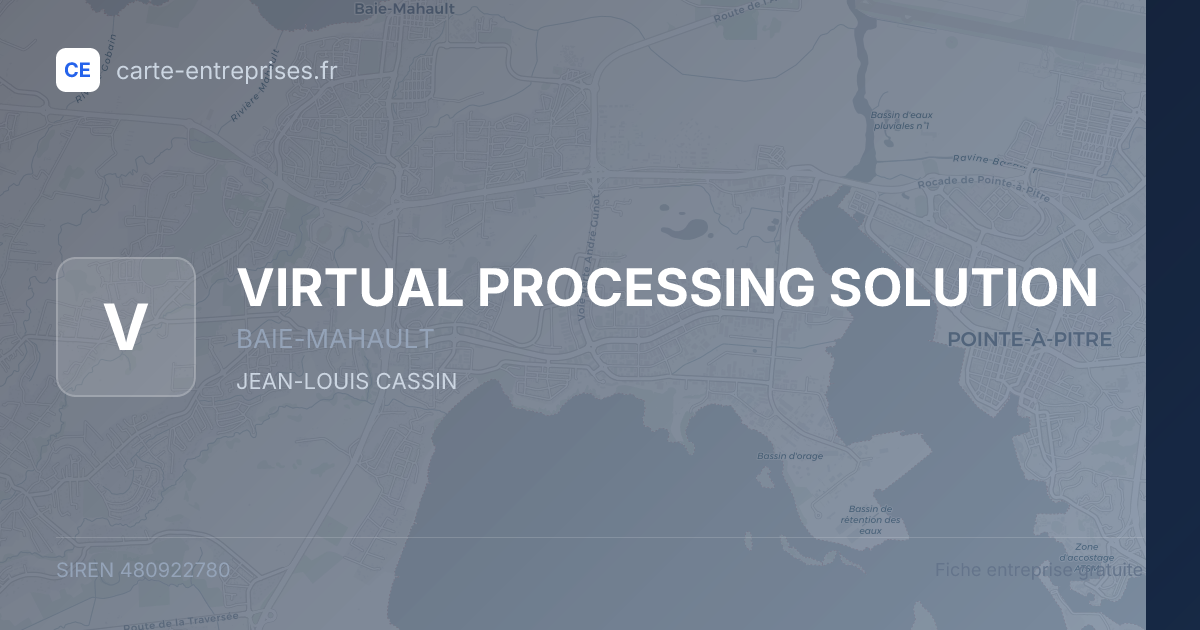 VIRTUAL PROCESSING SOLUTION — 480922780 — fiche entreprise