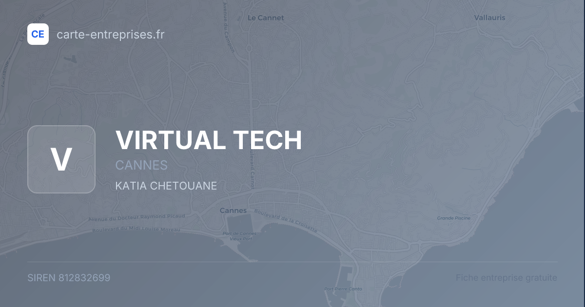 VIRTUAL TECH — 812832699 — fiche entreprise