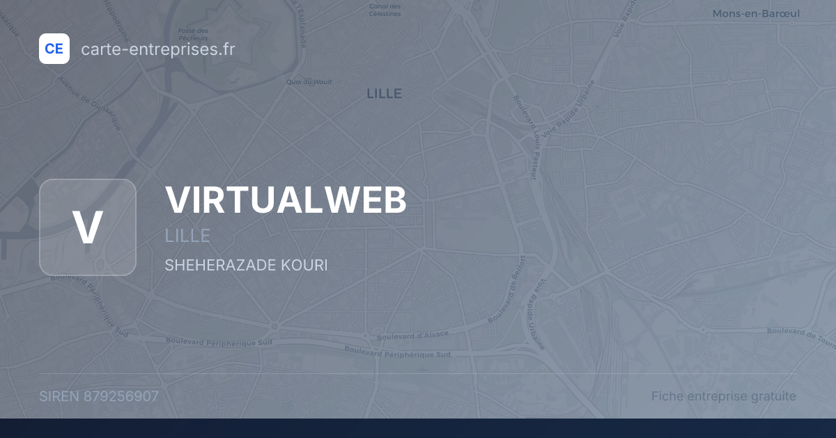 VIRTUALWEB — 879256907 — fiche entreprise
