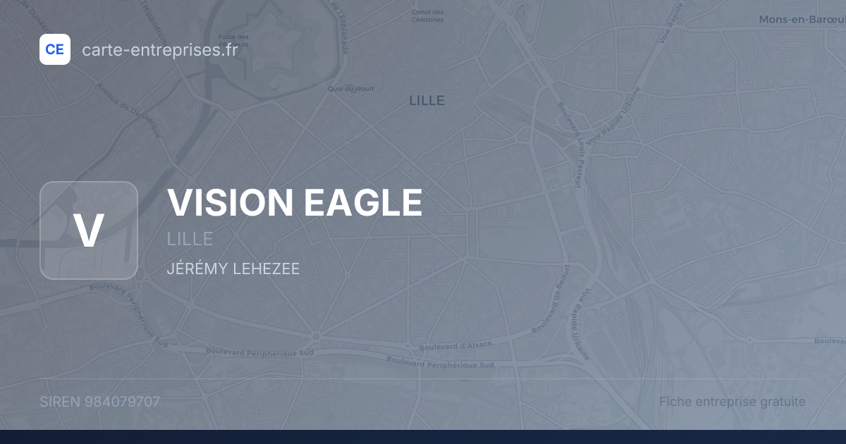 VISION EAGLE — 984079707 — fiche entreprise