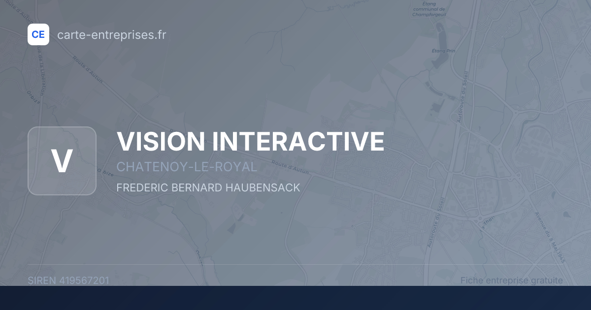 VISION INTERACTIVE — 419567201 — fiche entreprise