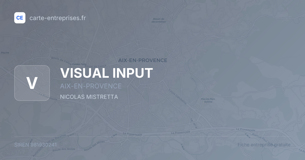 VISUAL INPUT — 981930241 — fiche entreprise