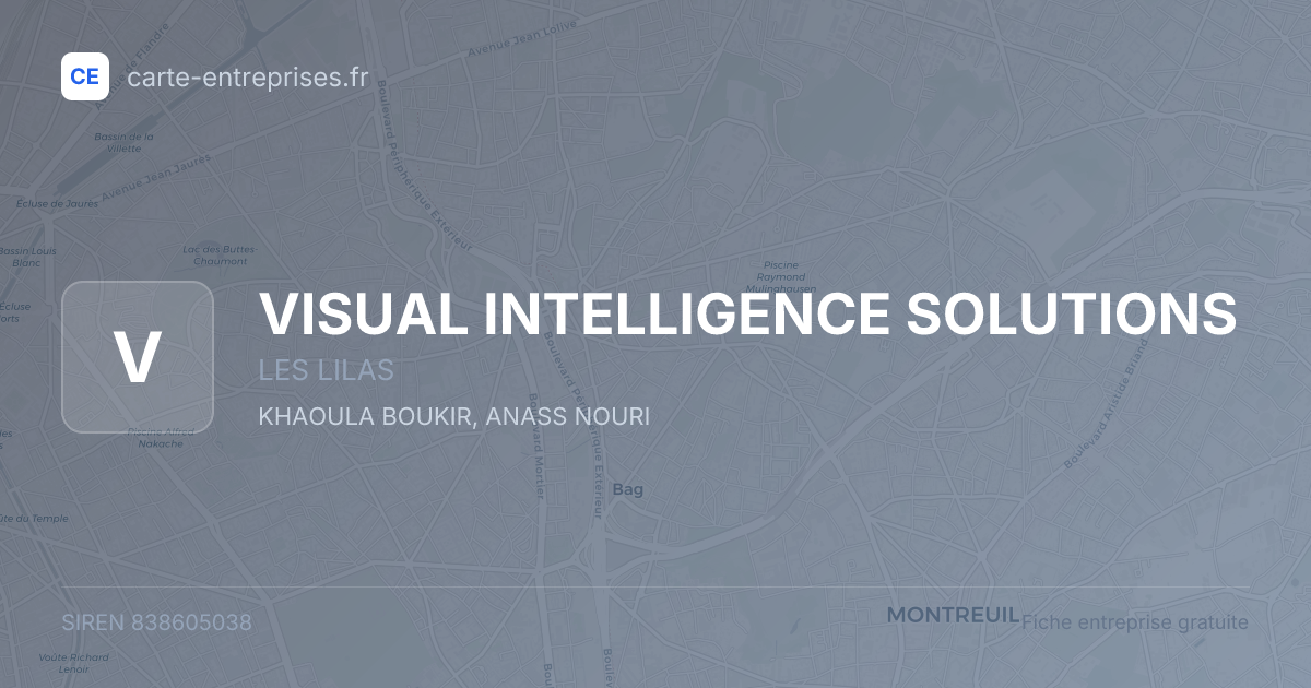 VISUAL INTELLIGENCE SOLUTIONS — 838605038 — fiche entreprise