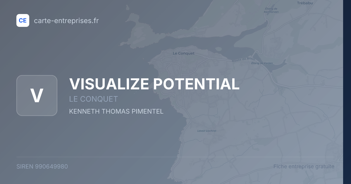 VISUALIZE POTENTIAL — 990649980 — fiche entreprise