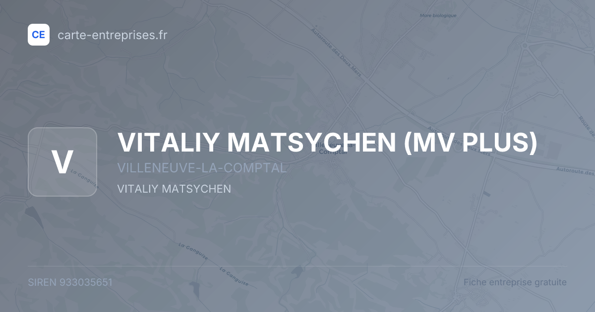 VITALIY MATSYCHEN (MV PLUS) — 933035651 — fiche entreprise