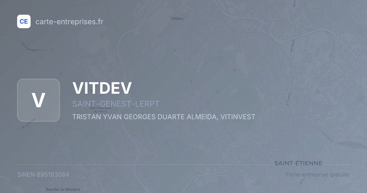 VITDEV — 895193084 — fiche entreprise