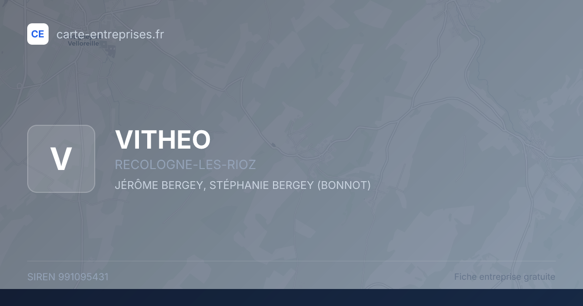 VITHEO — 991095431 — fiche entreprise