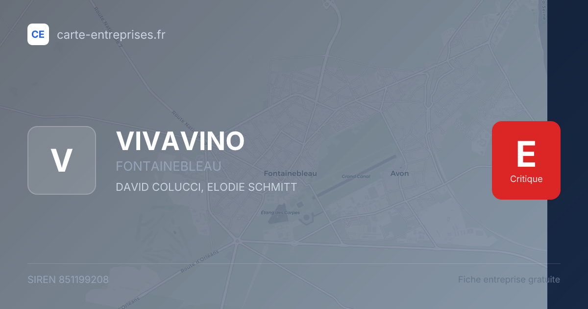 VIVAVINO — 851199208 — fiche entreprise