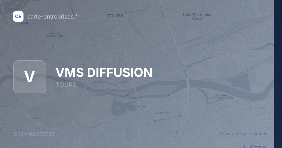 VMS DIFFUSION — 502032063 — fiche entreprise