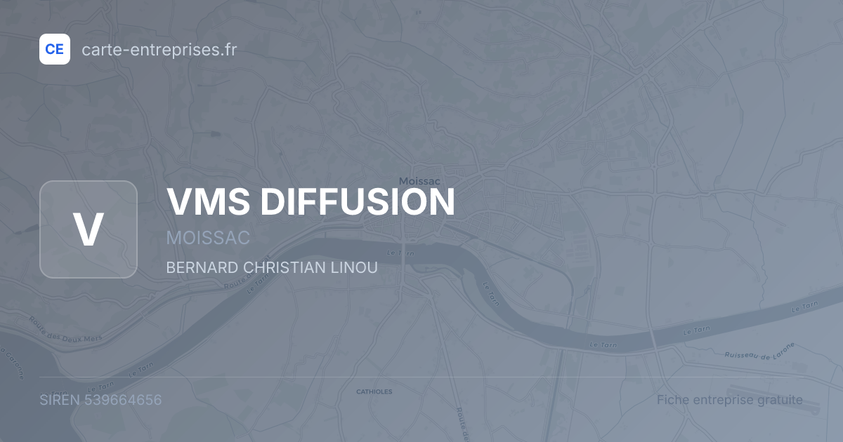 VMS DIFFUSION — 539664656 — fiche entreprise