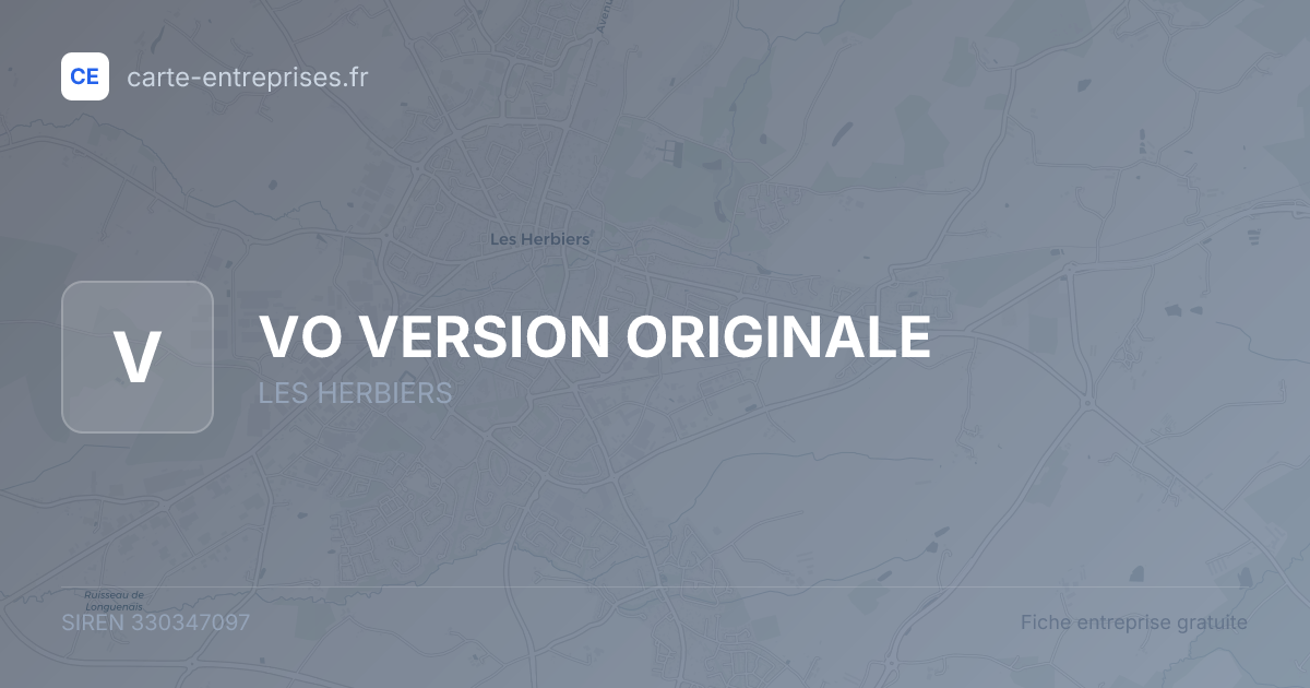 VO VERSION ORIGINALE — 330347097 — fiche entreprise