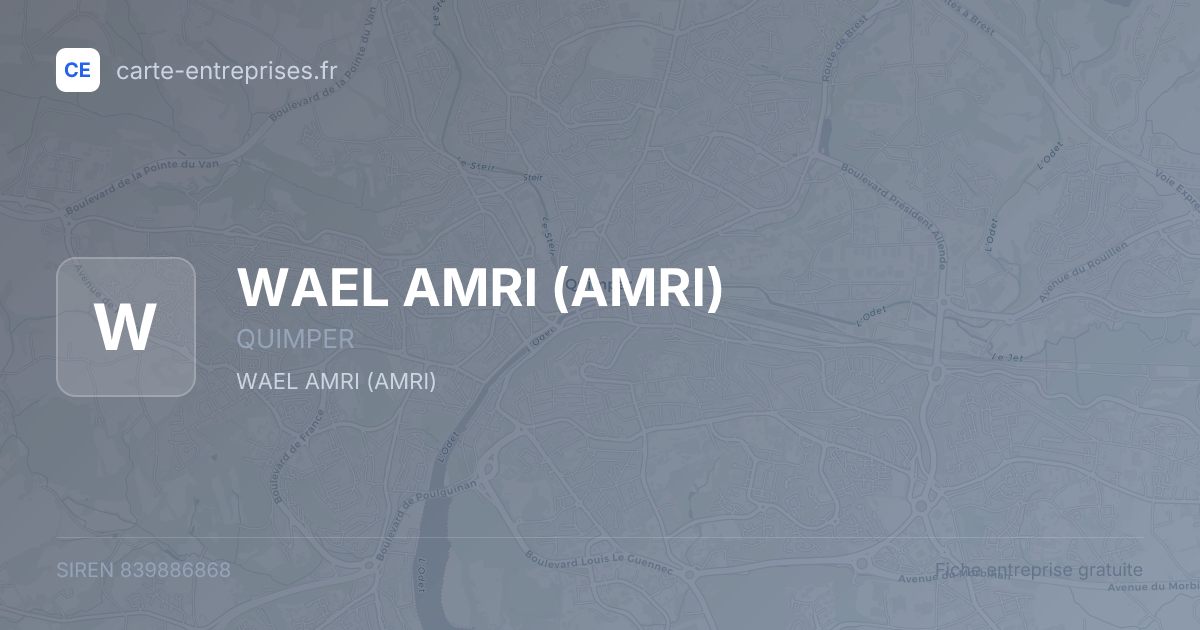 WAEL AMRI (AMRI) — 839886868 — fiche entreprise
