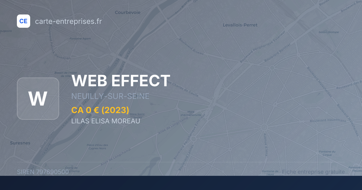 WEB EFFECT — 797690500 — fiche entreprise