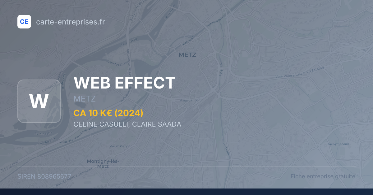 WEB EFFECT — 808965677 — fiche entreprise