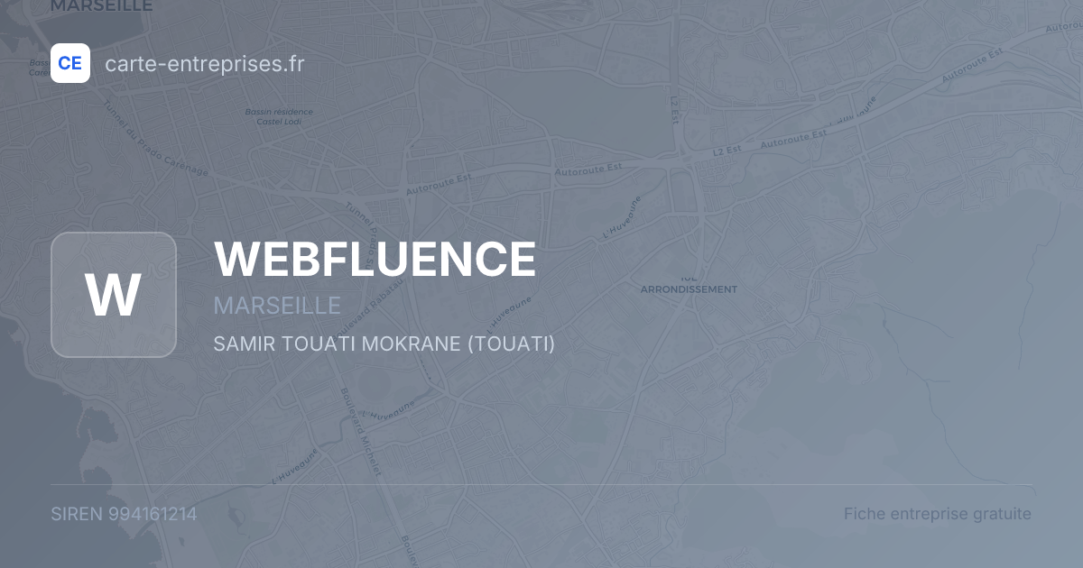 WEBFLUENCE — 994161214 — fiche entreprise