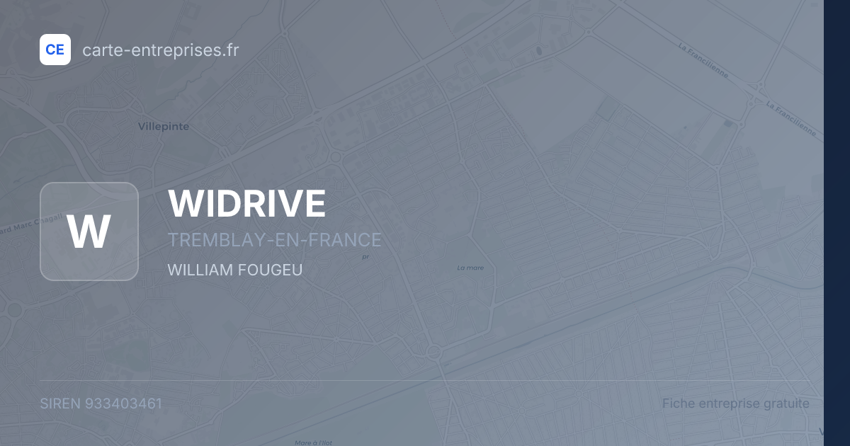 WIDRIVE — 933403461 — fiche entreprise
