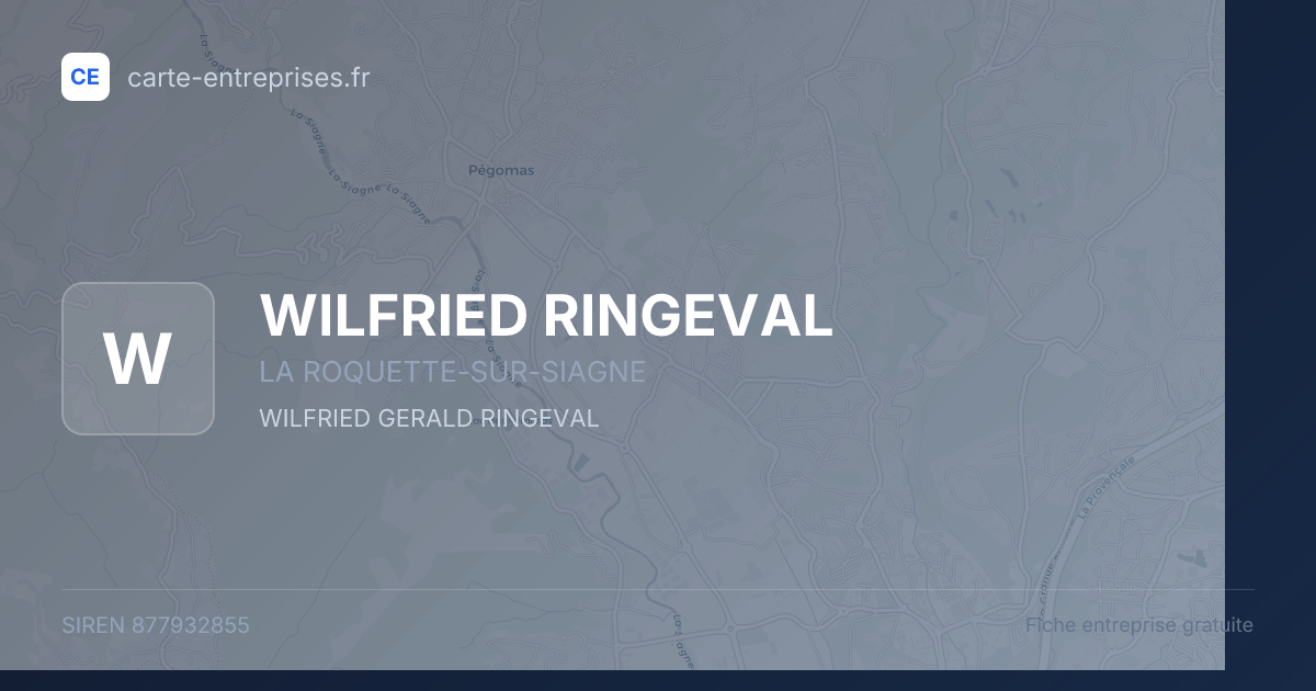 WILFRIED RINGEVAL — 877932855 — fiche entreprise
