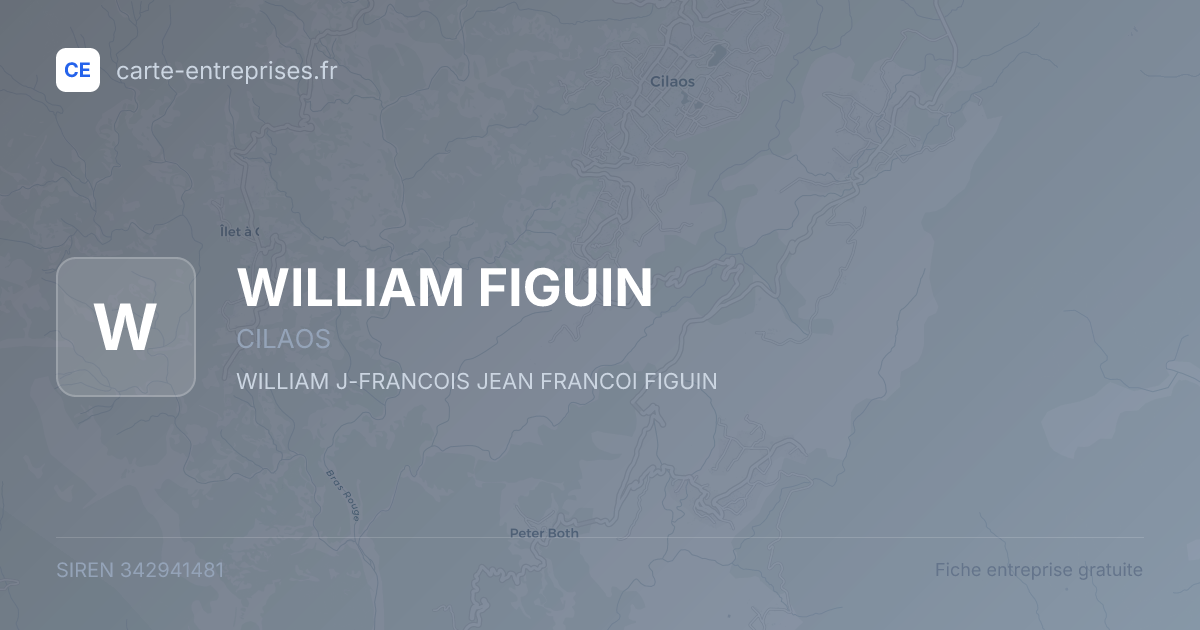 WILLIAM FIGUIN — 342941481 — fiche entreprise