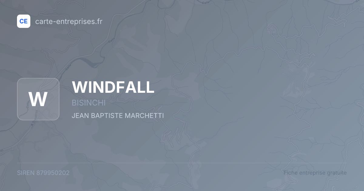 WINDFALL — 879950202 — fiche entreprise