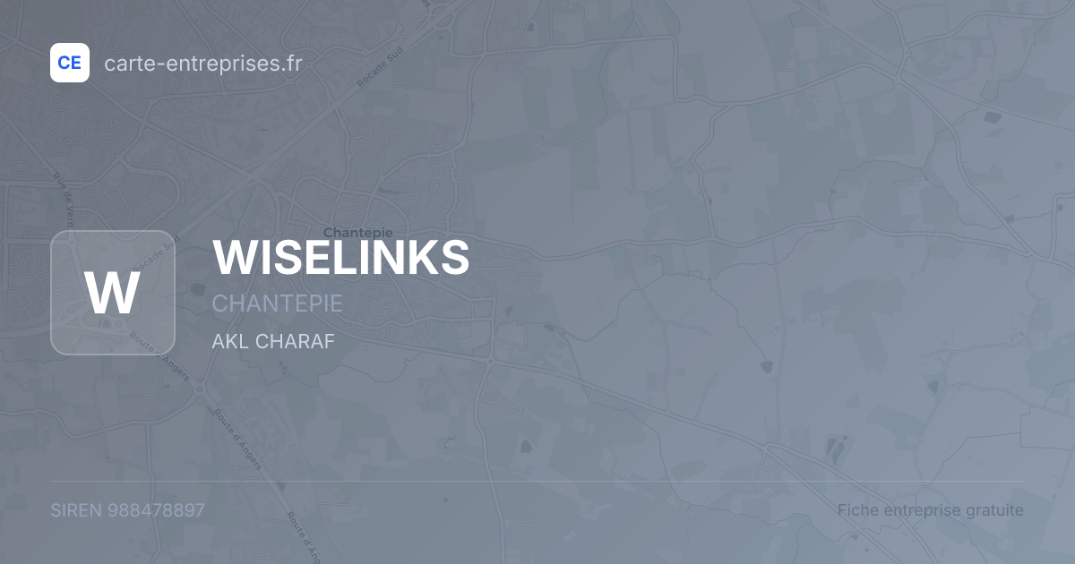 WISELINKS — 988478897 — fiche entreprise