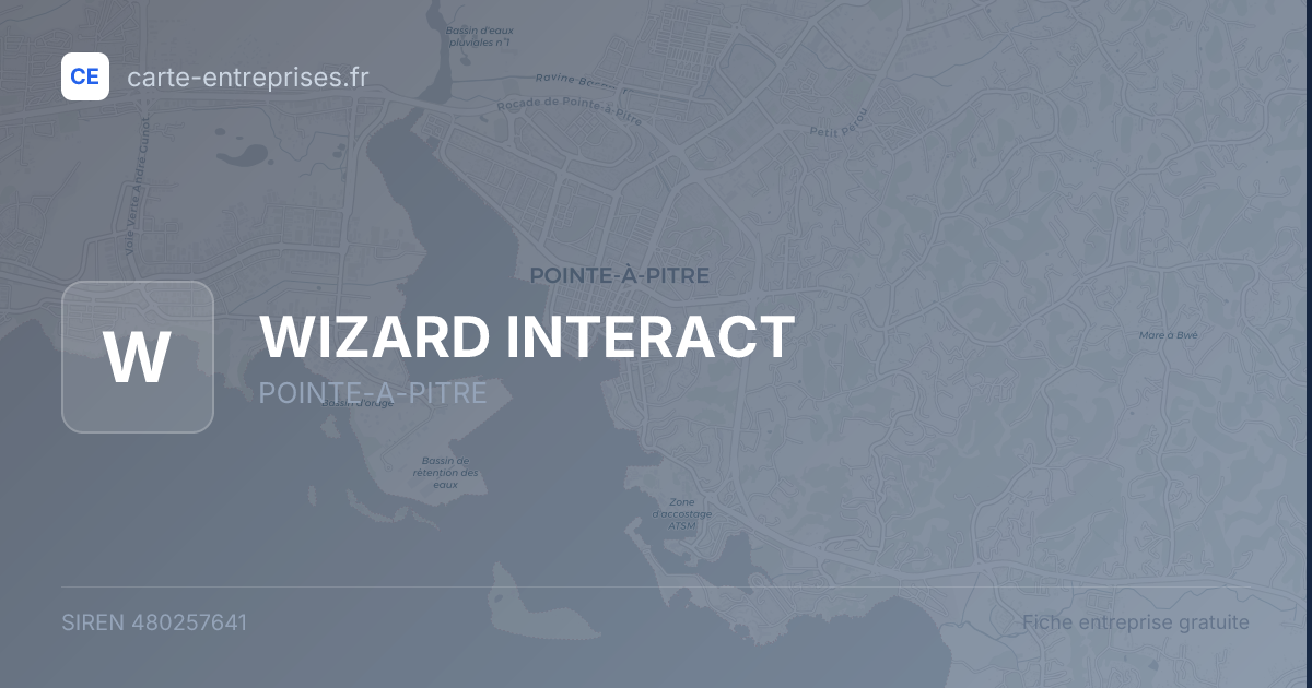WIZARD INTERACT — 480257641 — fiche entreprise