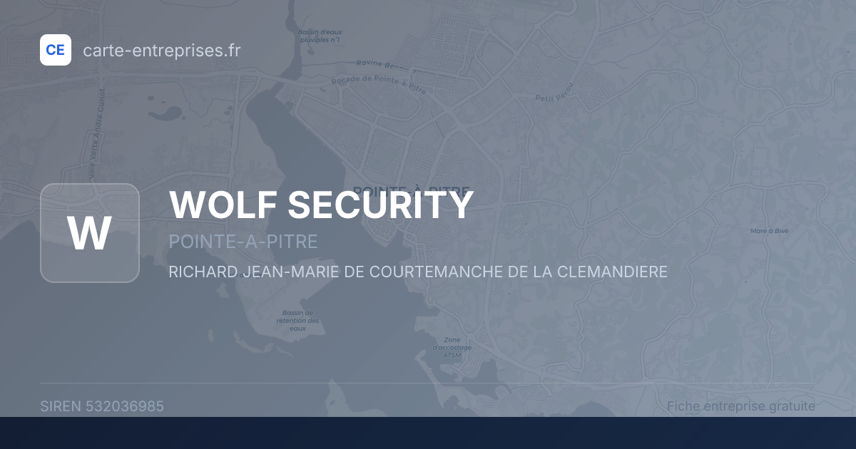 WOLF SECURITY — 532036985 — fiche entreprise