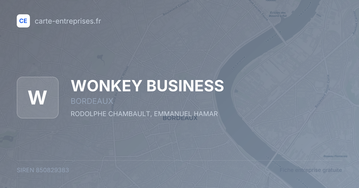 WONKEY BUSINESS — 850829383 — fiche entreprise