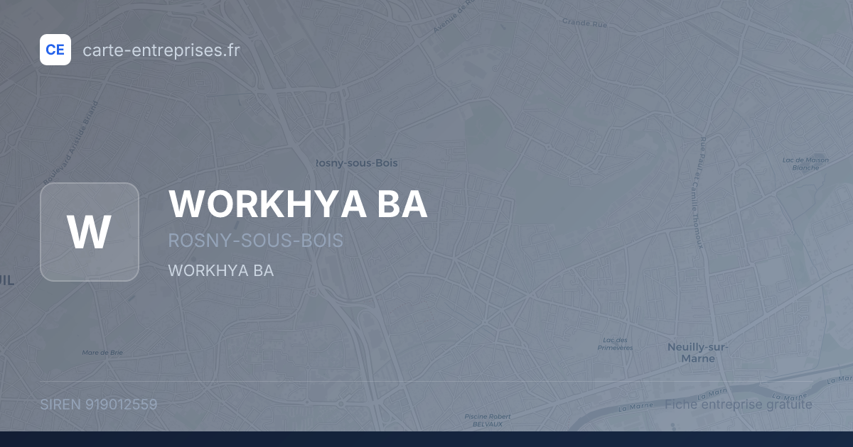 WORKHYA BA — 919012559 — fiche entreprise