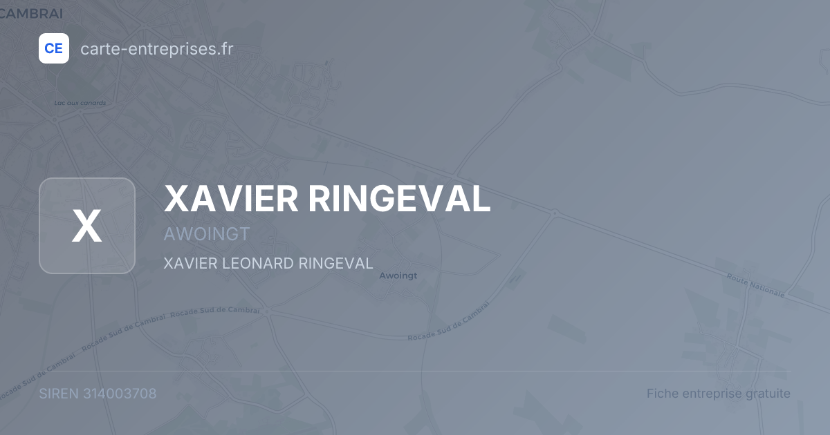 XAVIER RINGEVAL — 314003708 — fiche entreprise