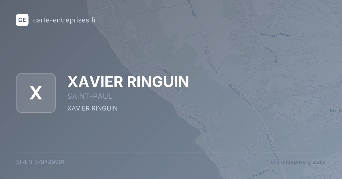 XAVIER RINGUIN — 378489991 — fiche entreprise