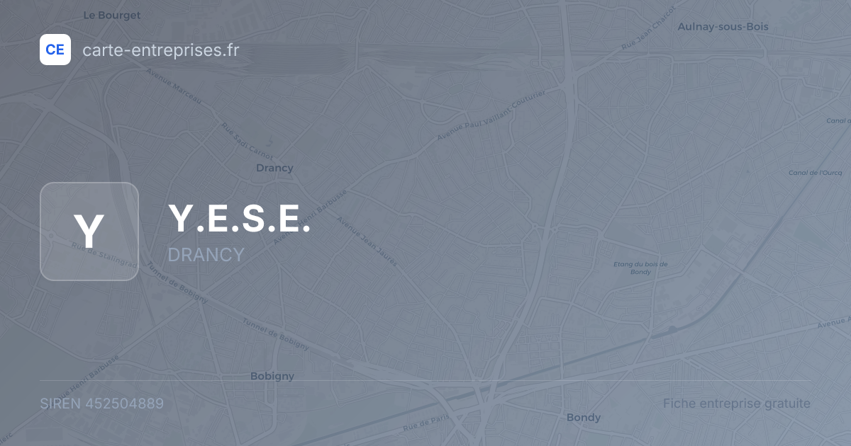 Y.E.S.E. — 452504889 — fiche entreprise
