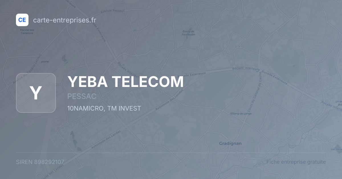 YEBA TELECOM — 898292107 — fiche entreprise