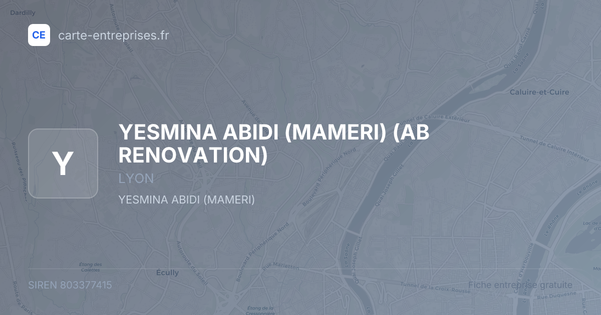YESMINA ABIDI (MAMERI) (AB RENOVATION) — 803377415 — fiche entreprise