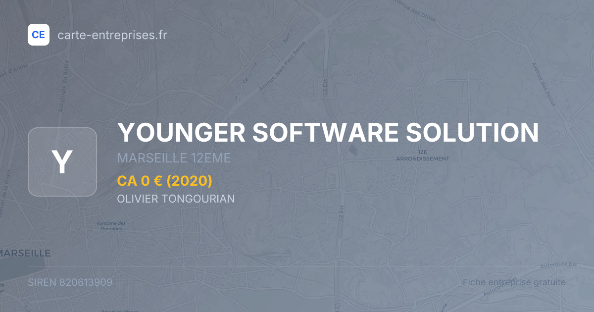 YOUNGER SOFTWARE SOLUTION — 820613909 — fiche entreprise