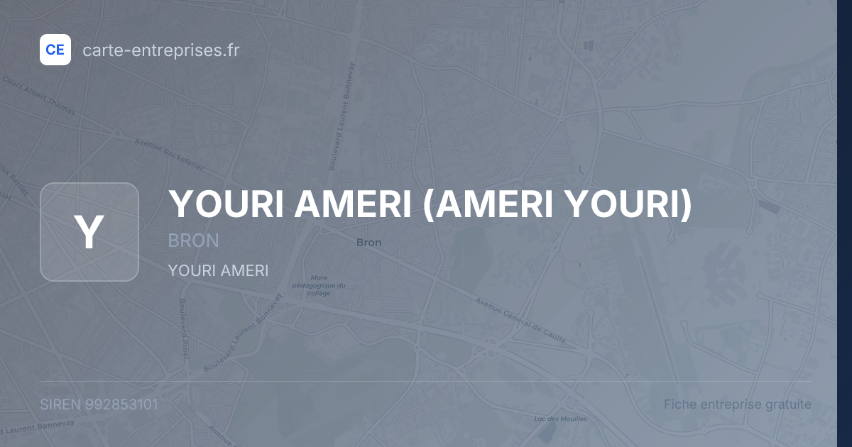 YOURI AMERI (AMERI YOURI) — 992853101 — fiche entreprise