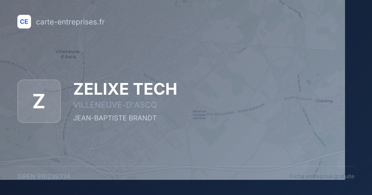 ZELIXE TECH — 910239334 — fiche entreprise