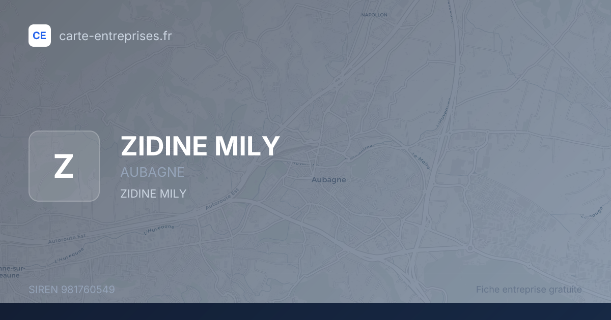 ZIDINE MILY — 981760549 — fiche entreprise